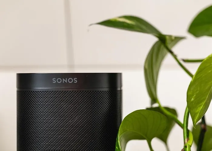 Modern On Bryggen Walking Distance To Everything!